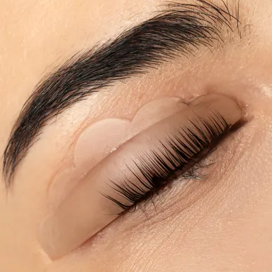 Lash lift and tint treatment at Harlowe Beauty Studio